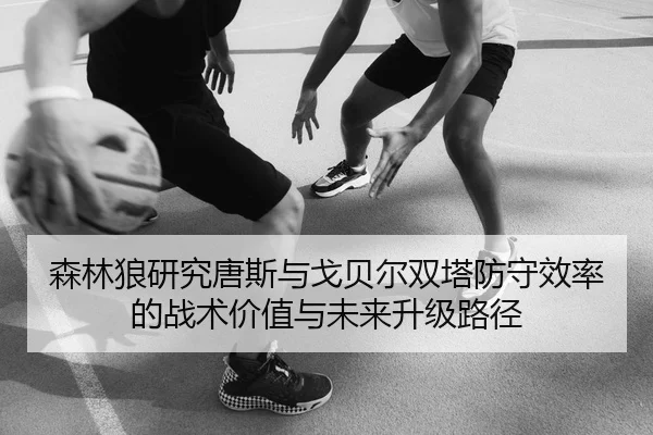 森林狼研究唐斯与戈贝尔双塔防守效率的战术价值与未来升级路径
